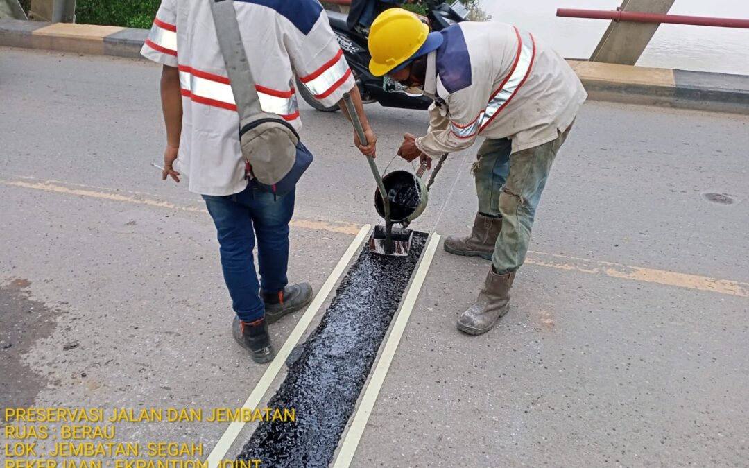 Bittu bridge Asphalticplug joint